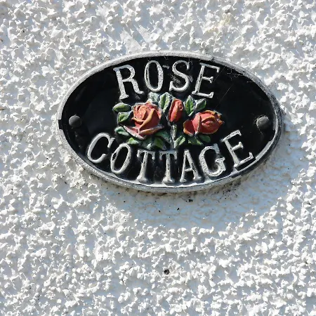 Rose * Lower Hawthwaite