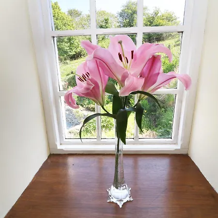Holiday home Rose